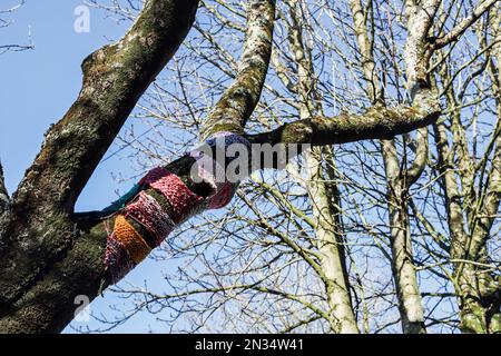 La strada Armada di Plymouth attraversa il principale centro commerciale pedonale dove gli alberi portano colore, anche se i piani di ristrutturazione mettono molti alberi Foto Stock