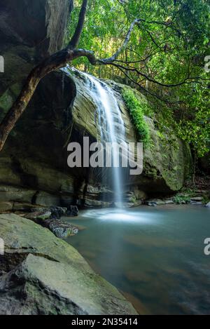 Le cascate di Buderim, conosciute anche come Serenity Falls, si trovano su 45 ettari del Parco della Foresta di Buderim e si trovano a pochi passi dal villaggio di Buderim, nella città di Hint Foto Stock