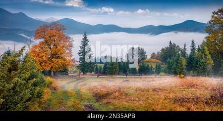 Tranquilla vista mattutina della valle di montagna con vecchia strada di campagna. Spettacolare scena autunnale delle montagne carpazi. Splendido paesaggio di campagna. Beau Foto Stock