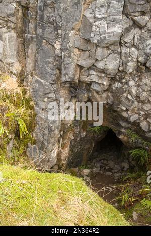 Un ritratto di una grotta in fondo sia alla cava che al calcare che la circonda a Penwyllt. Foto Stock