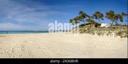 Spiaggia di es Carbo, donna solitaria che corre sulla spiaggia di sabbia vergine, Ses Salines, Mallorca, Isole Baleari, Spagna Foto Stock