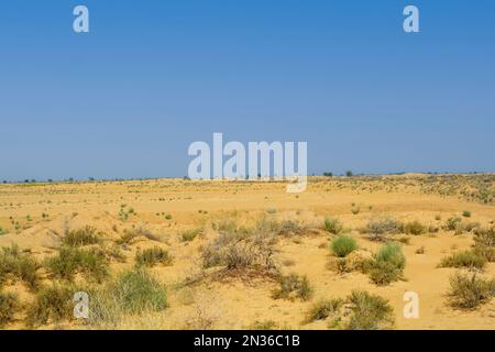 Terra di siccità nel deserto di Thar Foto Stock