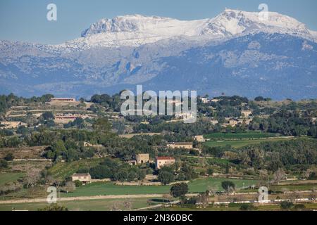 Puig maggiore innevato visto dai campi coltivati di Montuiri, Maiorca, Isole Baleari, Spagna Foto Stock