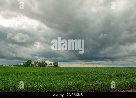 Il cielo terzoso di una giornata estiva si estende sullo splendido e fertile paese agricolo dell'Iowa. Foto Stock