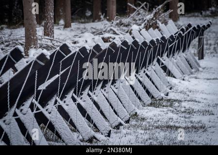 Vecchia barriera di confine nella foresta innevata vista in bianco e nero Foto Stock