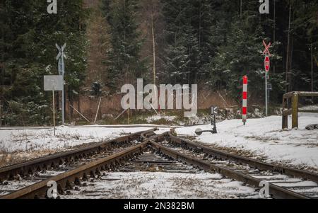 Ferrovia a scartamento ridotto nelle montagne di Ceska Kanada nella Boemia meridionale durante il giorno d'inverno Foto Stock