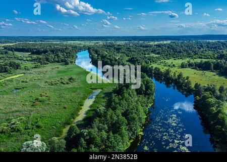 Bella vista panoramica sul fiume e le rive verdi del fiume nel giorno di mattina d'estate. Vista panoramica aerea. Foto Stock