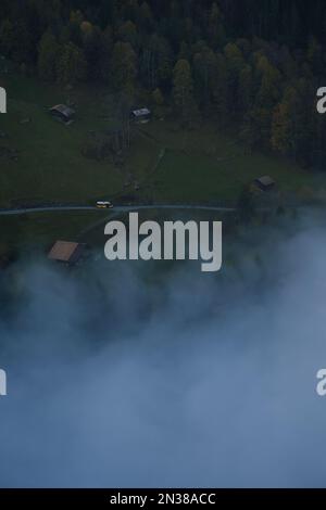 Un colpo verticale di alberi che crescono su campi e foreste durante il tempo nebbia Foto Stock