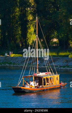 Francia, Loiret (45), Orléans, Loire Festival 2019, toue cabanée, tradizionale barca fluviale Foto Stock