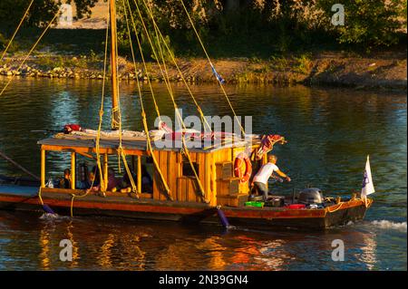 Francia, Loiret (45), Orléans, Loire Festival 2019, toue cabanée, tradizionale barca fluviale Foto Stock