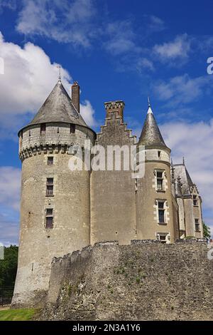 Chateau de Montpoupon, Cere-la-Ronde, Indre-et-Loire, Valle della Loira, Francia Foto Stock