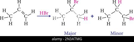 La reazione che osserva la regola di Markovnikov è l’aggiunta di acido bromidrico (HBr) all’immagine vettoriale del propene Illustrazione Vettoriale