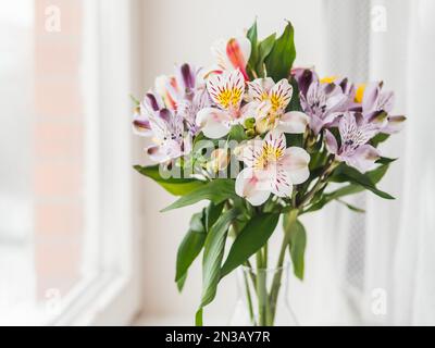 Fiori colorati di Alstroemeria in vaso di vetro sul davanzale. Fondo naturale primaverile con fiori bianchi e violetti. Foto Stock