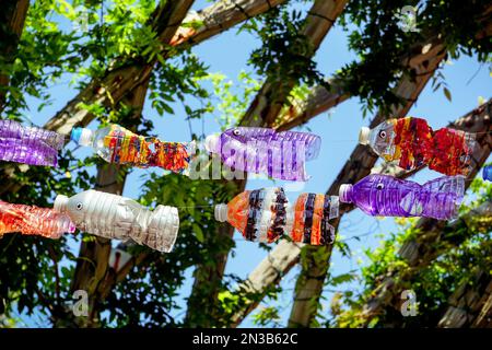 Bottiglia d'acqua riciclato e riciclato dipinta per la decorazione del giardino. Foto Stock