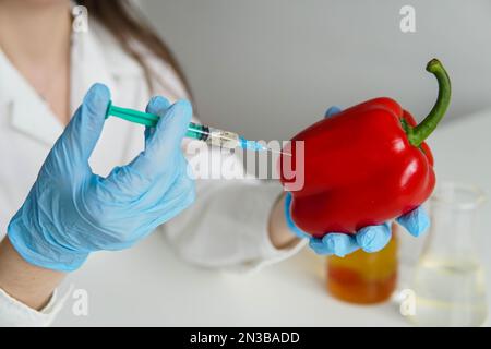 Mani di ricercatore donna con il pepe rosso maturo che fa l'iniezione durante l'esperimento con le verdure in laboratorio Foto Stock