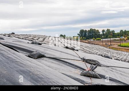 Fogli di plastica pesati coprono una collina in una discarica attiva. Probabilmente geomembrane in PVC. Foto Stock