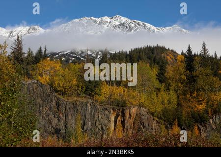 Crogiolatevi in una giornata di sole con un cielo blu lungo la Seward Highway fuori Anchorage, in contrasto con la neve fresca sulle montagne Chugach Foto Stock