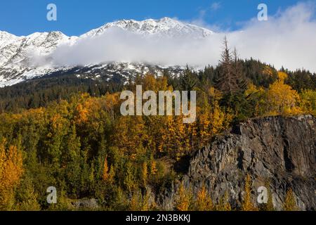 Crogiolatevi in una giornata di sole con un cielo blu lungo la Seward Highway fuori Anchorage, in contrasto con la neve fresca sulle montagne Chugach Foto Stock