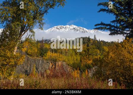 Crogiolatevi in una giornata di sole con un cielo blu lungo la Seward Highway fuori Anchorage, in contrasto con la neve fresca sulle montagne Chugach Foto Stock