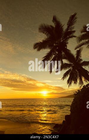 Tramonto tropicale con riflessi dorati sull'Oceano Pacifico e silhouette di palme sull'isola di Maui a Kihei Foto Stock