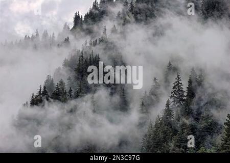 La nebbia avvolge ripide scogliere sulle colline boscose del Monte Juneau nella Tongass National Forest. Sitka Spruce e Hemlock prosperano nell'ambiente bagnato... Foto Stock