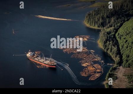 Vista aerea del legname, tronchi galleggianti da un vicino mulino in una baia protetta, caricati per l'esportazione su una nave sull'isola South Prince of Wales. Th... Foto Stock