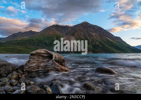Il trono del Re incombe sul lago Kathleen nello Yukon. Il tramonto illumina le nuvole mentre un pezzo di driftwood adorna il primo piano Foto Stock