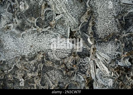 Intricati modelli di ghiaccio sulle strade; Sitka, Alaska, Stati Uniti d'America Foto Stock