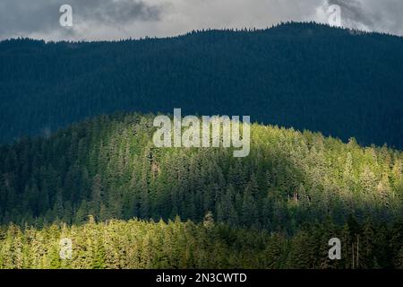 La luce del sole illumina le colline boscose nella zona dello stretto di Chatham nell'Alaska sud-orientale; Alaska, Stati Uniti d'America Foto Stock