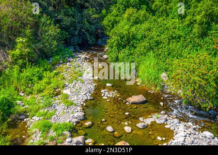 Vista aerea di un ruscello che scorre attraverso il lussureggiante fogliame sulle colline delle montagne West Maui; Maui, Hawaii, Stati Uniti d'America Foto Stock