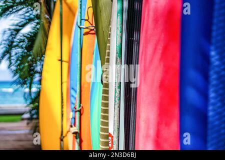 Primo piano delle tavole da surf allineate con l'oceano sullo sfondo a Lahaina; Maui, Hawaii, Stati Uniti d'America Foto Stock