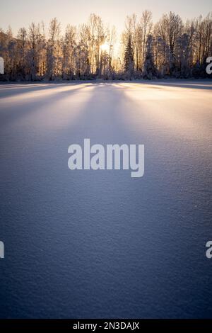 Le lunghe ombre cadono sulla neve al tramonto, Palmer Hay Flats in Alaska, USA; Palmer, Alaska, Stati Uniti d'America Foto Stock