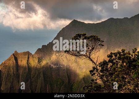 Nuvole grigie sopra PU'u o Kila belvedere su Kauai, una posizione spettacolare che offre una vista panoramica della valle di Kalalau nel Waimea Canyon Foto Stock