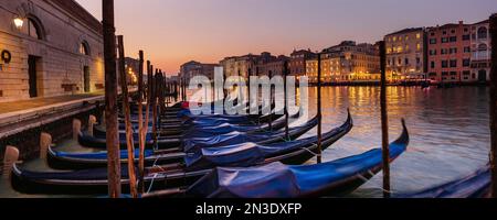 Gondole ricoperte di blu legate lungo la costa in un canale a Venezia; Venezia, Veneto, Italia Foto Stock