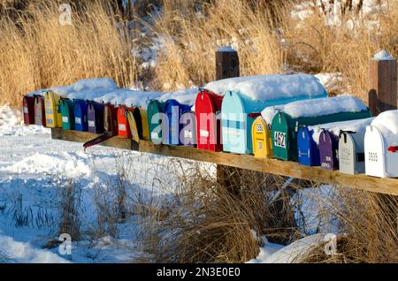 Primo piano di una fila di cassette postali colorate su una strada di suddivisione a Homer; Homer, Alaska, Stati Uniti d'America Foto Stock