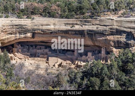 Uno sguardo al Cliff Palace, alle dimore Cliff nel Parco Nazionale di Mesa Verde; Mancos, Colorado, Stati Uniti d'America Foto Stock