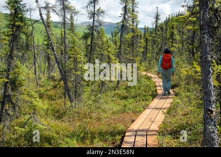 Vista da dietro di una donna che fa un'escursione ad Angel Rocks lungo la Chena Hot Springs Road, fuori Fairbanks Foto Stock