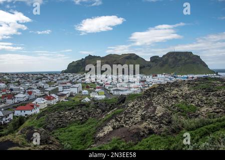 Panoramica della città di Heimaey Island, parte delle Isole Westman, un arcipelago di circa 15 isole sulla costa meridionale dell'Islanda, formò circa 1... Foto Stock