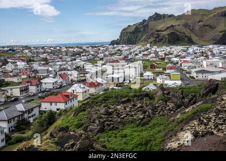 La lava scorre con vista sulle case della città sull'isola di Heimaey, parte delle isole Westman, un arcipelago di circa 15 isole sulla costa meridionale... Foto Stock