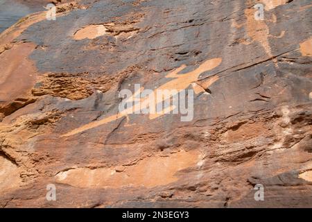 Antiche incisioni rupestri raffiguranti lucertole su una parete rocciosa nel Dinosaur National Monument; Utah, Stati Uniti d'America Foto Stock