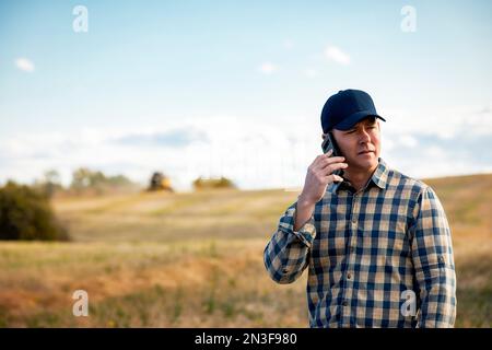 Un uomo in piedi in un campo, che parla su uno smartphone mentre monitora e completa il raccolto di canola autunnale con una mietitrebbia sullo sfondo Foto Stock