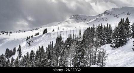 Sciatori che amano il paesaggio innevato in una località sciistica nel Banff National Park, Alberta, Canada; Improvement District No. 9, British Columbia, Canada Foto Stock