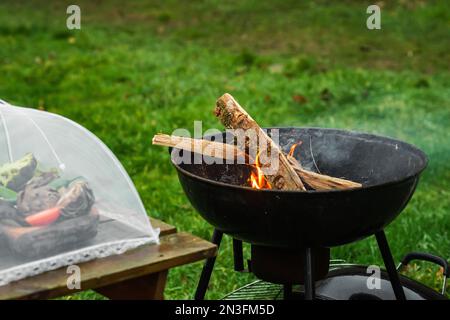 Il braciere fumante di una forma rotonda. La legna da ardere si illumina nel braciere sullo sfondo di erba verde. Il concetto di pic-nic, relax, grill Foto Stock