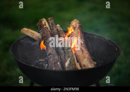 Il braciere fumante di una forma rotonda. La legna da ardere si illumina nel braciere sullo sfondo di erba verde. Il concetto di pic-nic, relax, grill Foto Stock