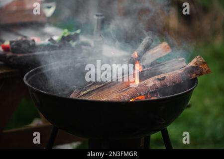 Il braciere fumante di una forma rotonda. La legna da ardere si illumina nel braciere sullo sfondo di erba verde. Il concetto di pic-nic, relax, grill Foto Stock