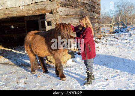 Donna matura posa con un cavallo in una fattoria in inverno; Ottawa Valley, Ontario, Canada Foto Stock