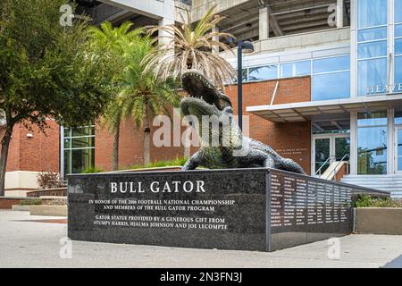 Statua in bronzo di Bull Gator al ben Hill Griffin Stadium di Gainesville, Florida, in onore della vittoria di Gators nel Campionato Nazionale di Calcio 2006. Foto Stock