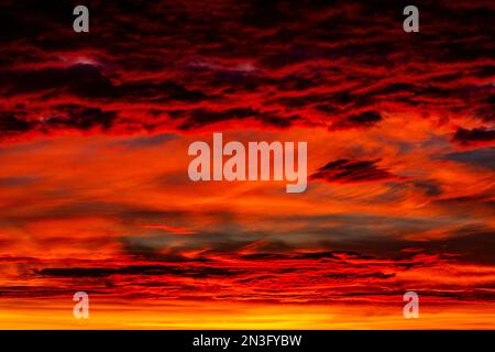 Spettacolari nuvole ardenti al tramonto, brillanti di rosso e giallo; Calgary, Alberta, Canada Foto Stock