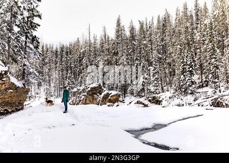 Uomo maturo con il suo cane che esplora il fiume Kicking Horse durante l'inverno vicino al ponte naturale nel parco nazionale di Yoho; British Columbia, Canada Foto Stock