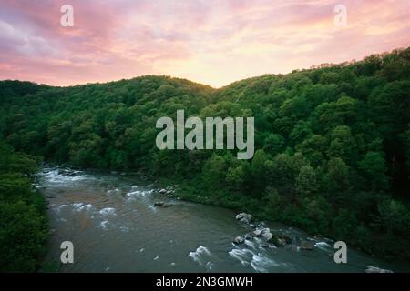 Il fiume Youghiogheny scorre attraverso una foresta nel parco statale Ohiopyle al crepuscolo, Maryland, USA; Frostburg, Maryland, Stati Uniti d'America Foto Stock